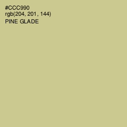 #CCC990 - Pine Glade Color Image